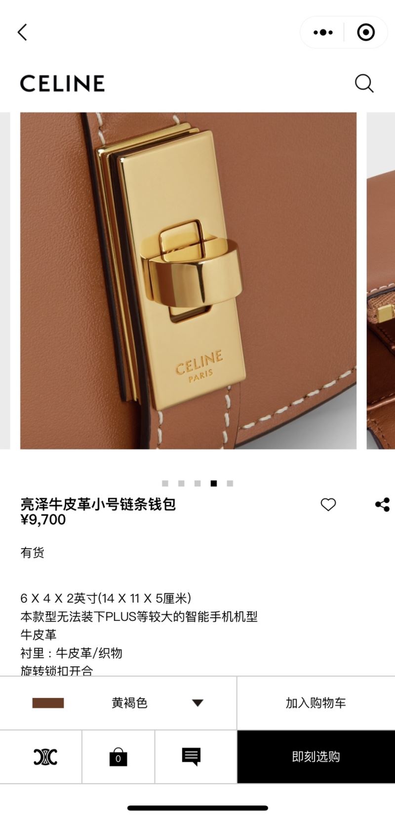 Celine Besace Bags